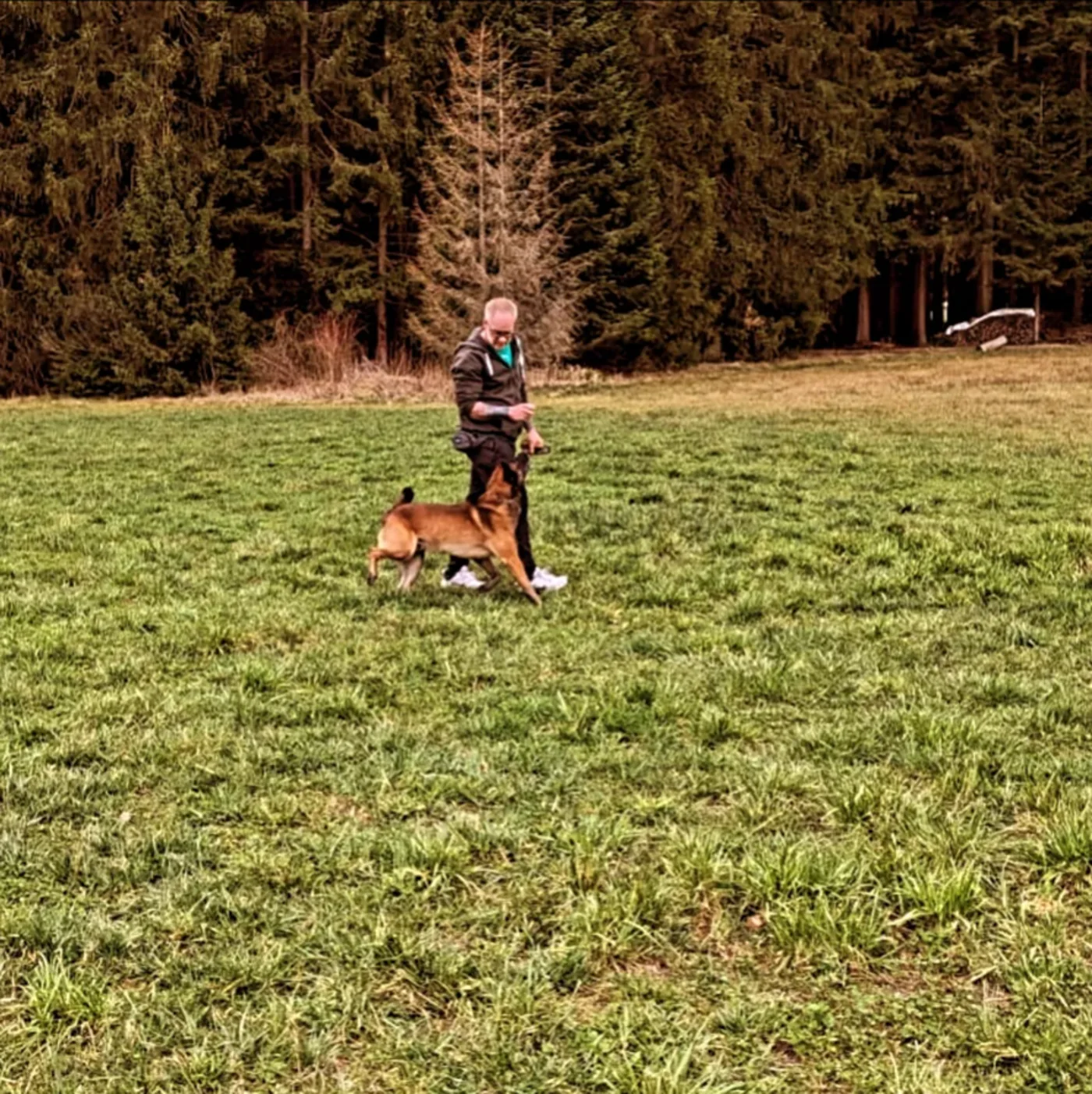 Einzeltraining auf der Wiese