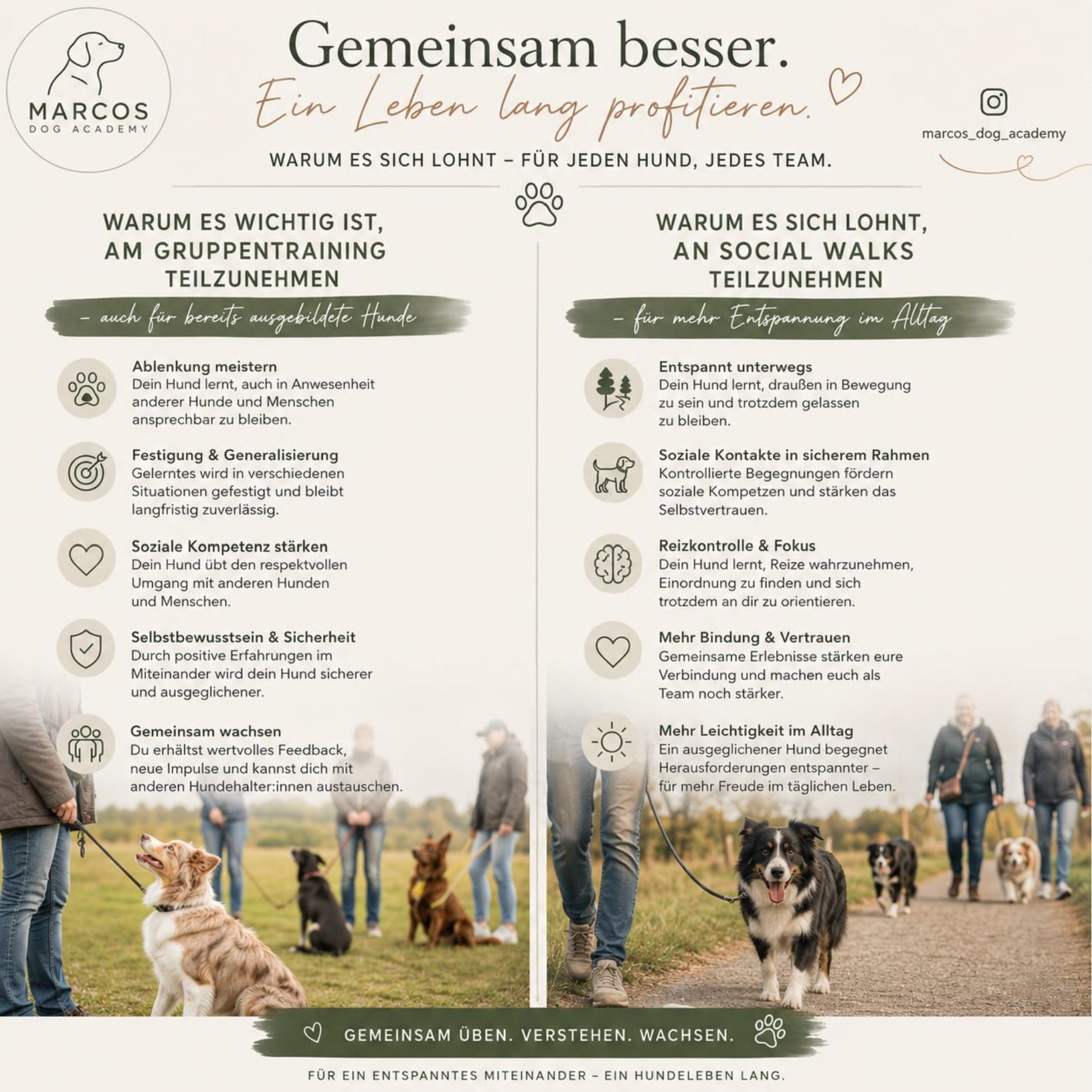 Gruppentraining und Social Walks Vorteile